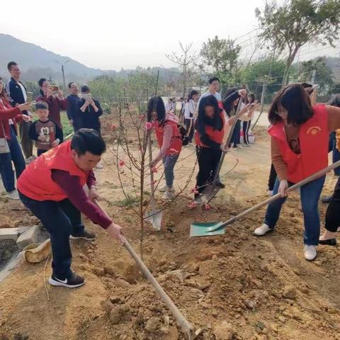 植树添绿正当时：金浦街道开展全民爱绿植绿护绿活动