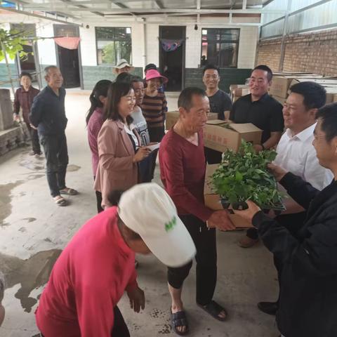 发展庭院经济  助力乡村振兴