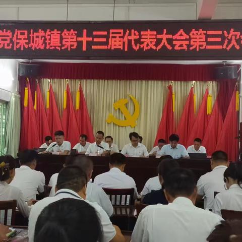 中国共产党保城镇第十三届第三次代表大会胜利召开