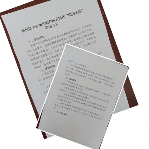 携手共研，助力成长——新堡镇中心幼儿园教研共同体“跟岗实践活动”暨联合教研活动