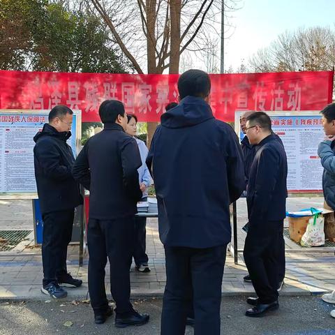 鸡泽县残联开展国家宪法日残疾人权益保障集中宣传活动