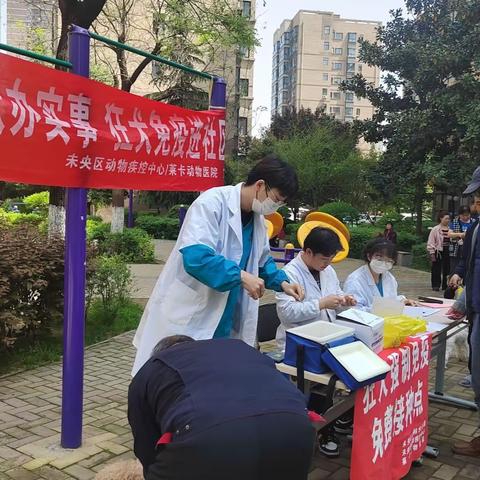 徐家湾街道中宝达·理想时光社区新时代文明实践站丨“文明养宠，健康生活”疫苗接种活动！