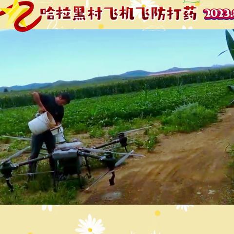 哈拉黑村飞机飞防打促早熟、抗病虫害药