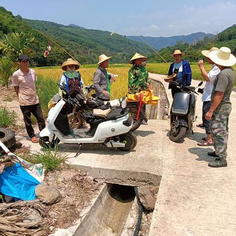 县农技农机中心到南开乡开展稻飞虱防治培训