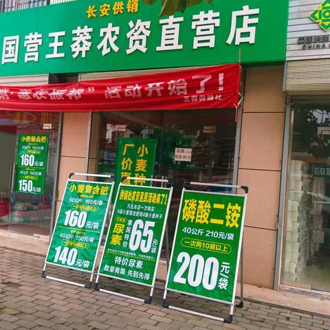 王莽供销社开展2026年农民丰收节系列活动