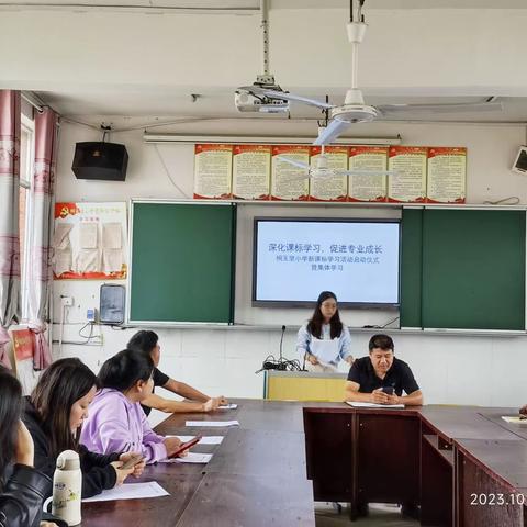 研学新课标，赋能新课堂——桐玉里小学新课标研习活动