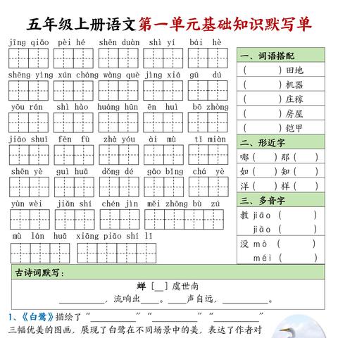 2025年秋季五年级上册单元基础知识默写