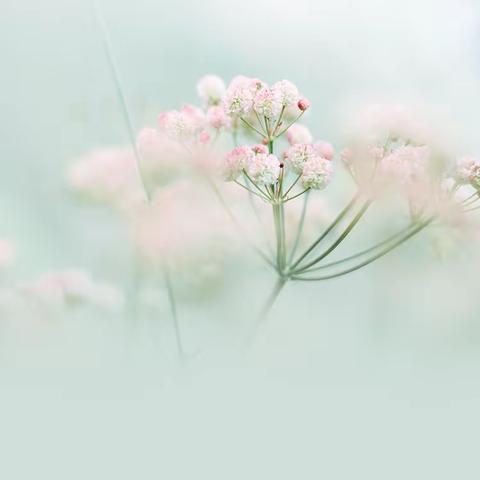赋能乡村人才，助力乡村振兴