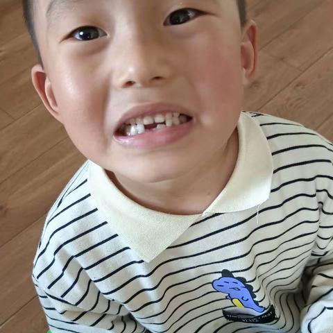 【潍坊市机关幼儿园·仁和分园】——牙齿的秘密