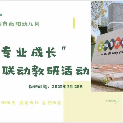 联动教研促成长 牵手共建齐发展 ----经开区学前教育联动教研活动