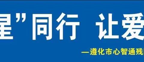 蓝色行动-4月2日世界第16个孤独症关爱日-心智通残障儿童交流中心公益宣传活动