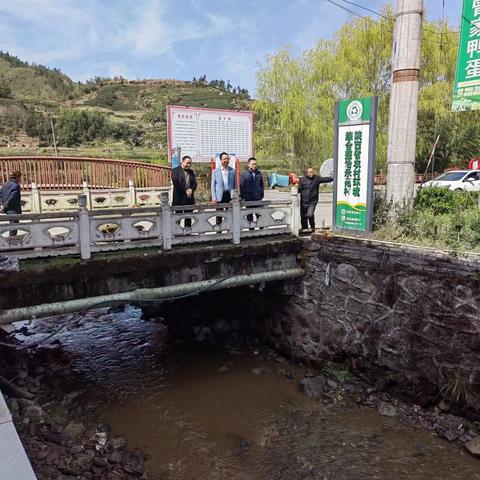 平利县河湖长制暨河湖“四乱”问题排查整治工作动态（3月28日）