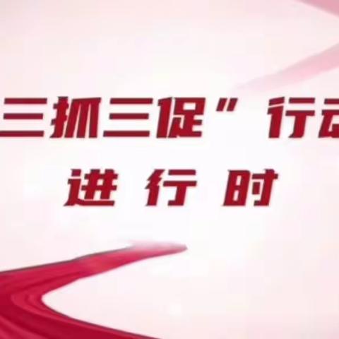 【“三抓三促”进行时】团结社区：充分发挥包片领导作用 协同联动做好共驻共建工作