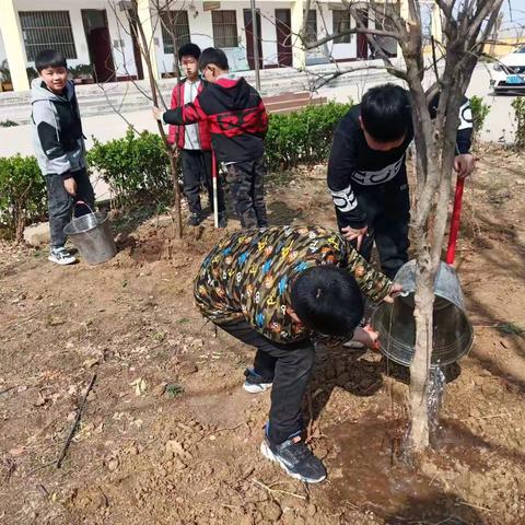 种植一棵树 播撒一颗心——记池头集小学学雷锋植树活动