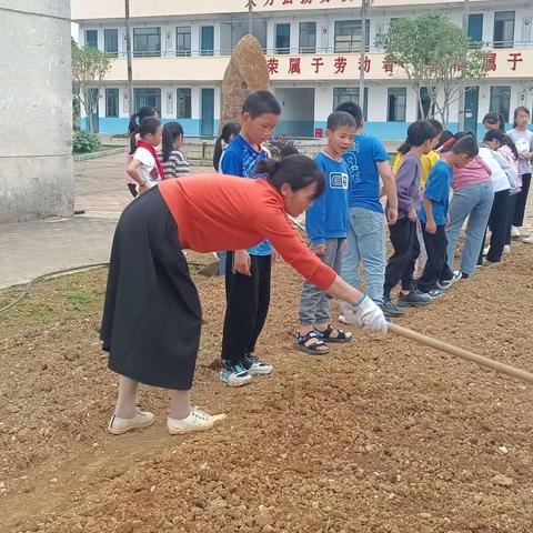 我劳动，我快乐！