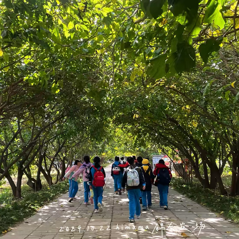 【我十岁啦4】秋色宜人正当时，乐思乐学在其中——密云三小四年级社会大课堂实践活动