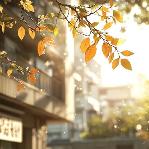 畅海苑十一月份服务月报