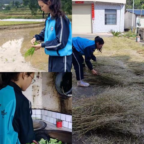 瑶厦中学劳动教育周— —以劳动筑基，于奋斗开路