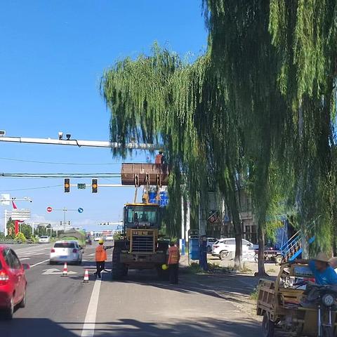 信都区公路管理站开展普通国省干线公路绿化提升专项行动