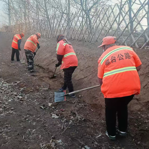从“路见平凡”到“一路倾心”，信都区春日焕新公路
