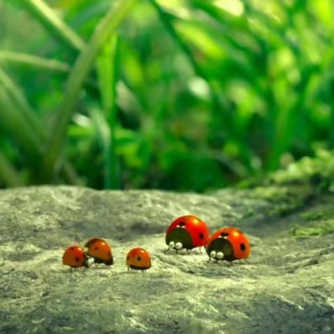 【西安市莲湖区远东保育院.班本课程】《虫虫虫虫飞》