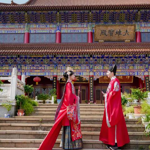 一路繁花似锦--横林东芝摄影