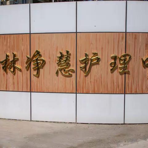 国家能源集团江苏常州团队关爱敬老院爱心慰问活动--2025年6月18日