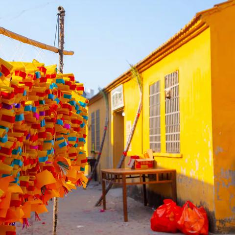 杨岐村--2025年12月6日