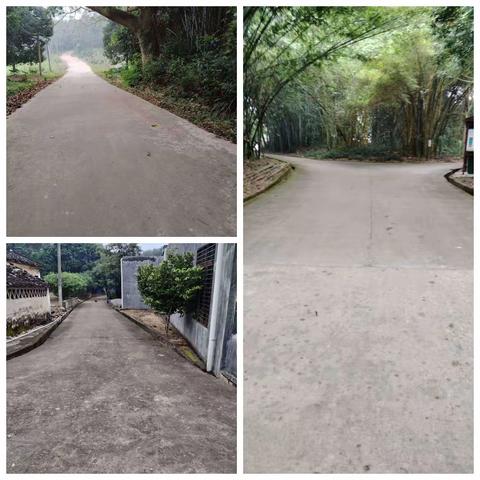 大成镇热作农场环境卫生大整治