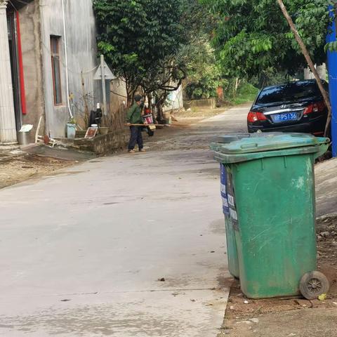 环境卫生整治预防登革热