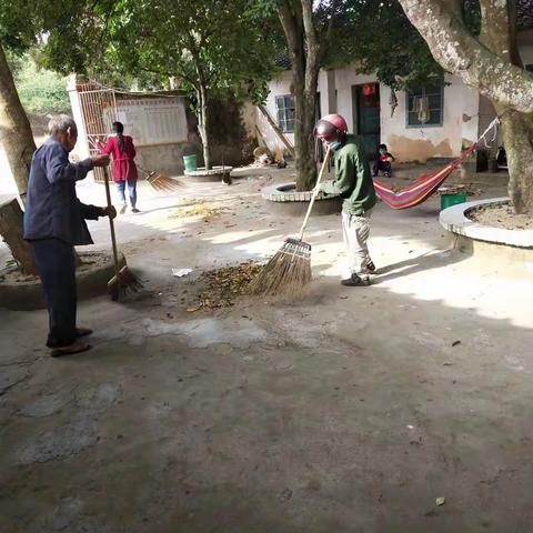 环境卫生整治  预防登革热在进行