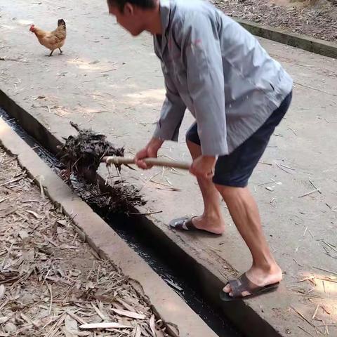 大成镇热作农场开展爱国卫生运动大扫除活动