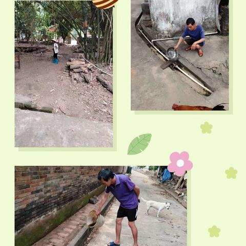 大成镇热作农场开展环境卫生整治活动