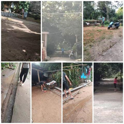 大成镇热作农场开展“清洁家园、防蚊灭蚊”百日专项活动