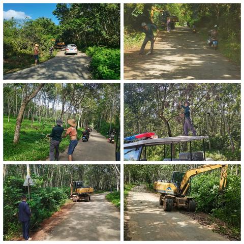 大成镇热作农场周末环境卫生大整治活动纪实