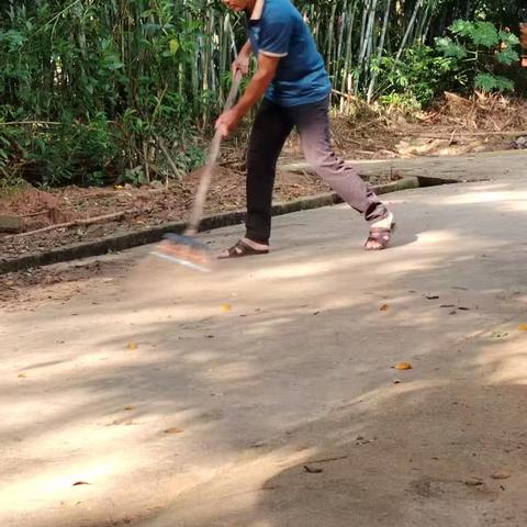 大成镇热作农场迎元旦环境整治活动