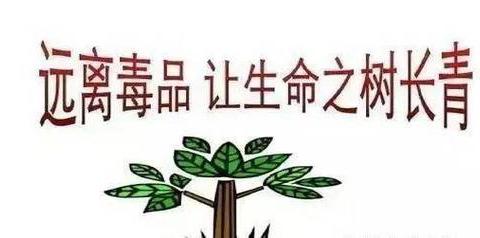 远离毒品，珍惜生命——东港镇长围小学预防毒品教育活动