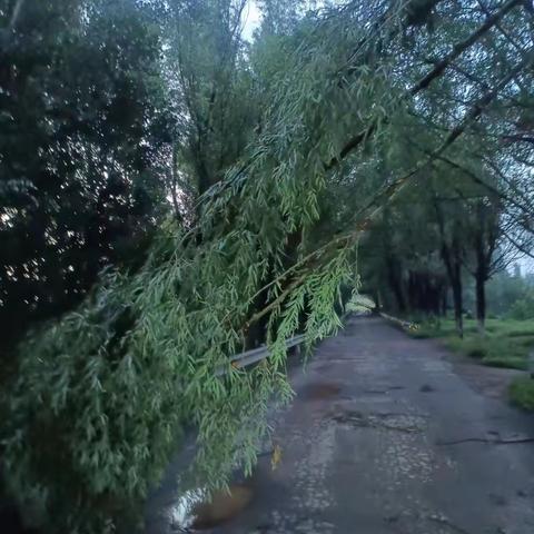 不惧风雨，服务群众