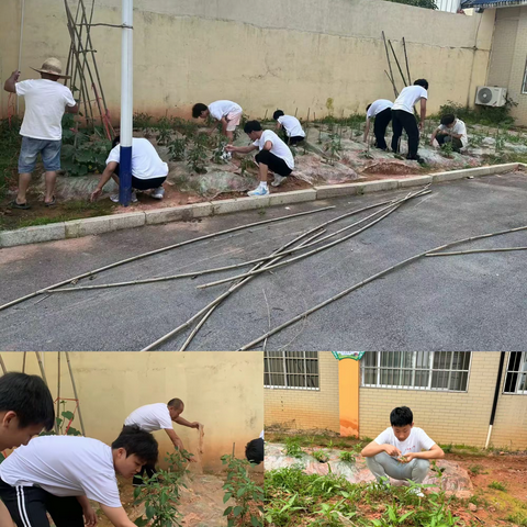 劳以启智，动以润心 —抚州市阳光学校劳动实践活动