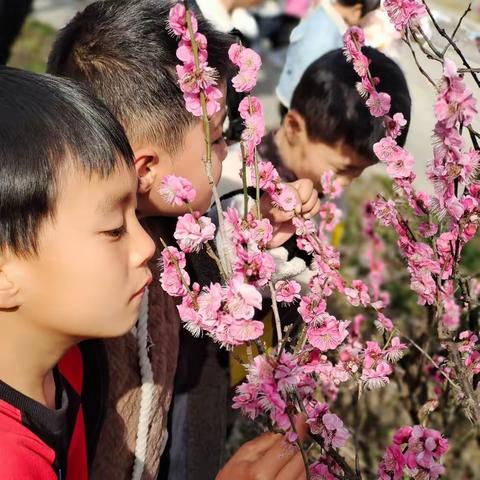 安峰镇第二幼儿园——跟着春天🌸去踏青🌱