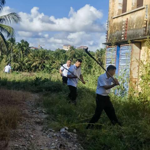 清割杂草 美化环境