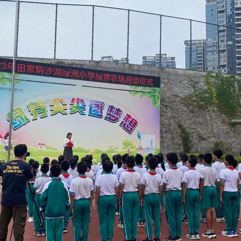 劳动砺心志 实践促成长—田家炳沙湖绿洲小学绿芽农场启动仪式