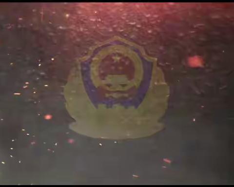 2024年防诈骗宣传视频（区教体局）