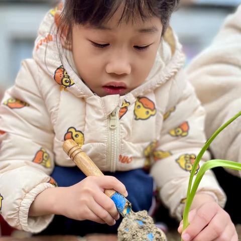 太平镇盛世好孩子幼儿园三月份主题课程回顾