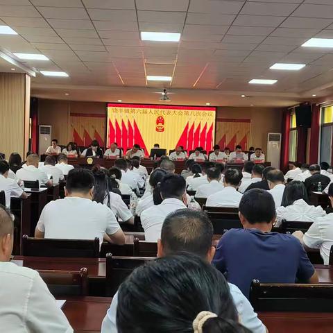 饶丰镇第六届人民代表大会第八次会议胜利召开