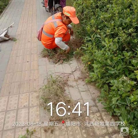 沣西环卫大型除杂