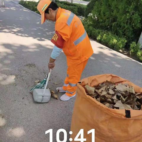 叶落翩翩舞，沣西环卫清扫忙