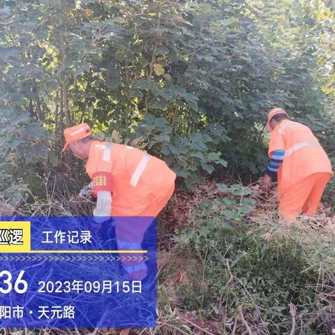 迎双创，沣西环卫在行动