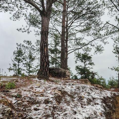 听松赏雪马岗山