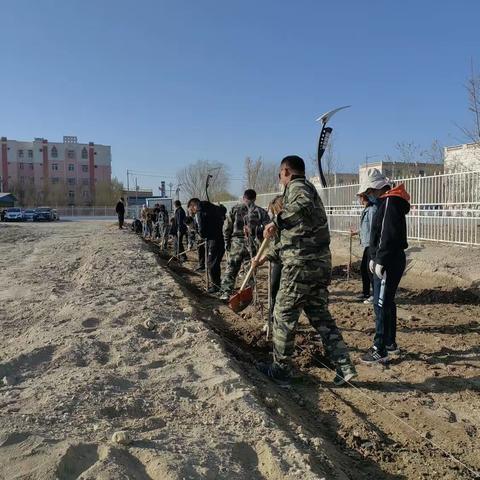 哈密市伊州区花园乡第一小学“教师植树添春意 换出满园绿意浓”美化校园活动